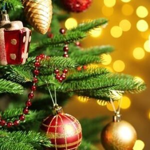 2019 عام جديد .. مع التجديد 11 2019 عام جديد .. مع التجديد 10