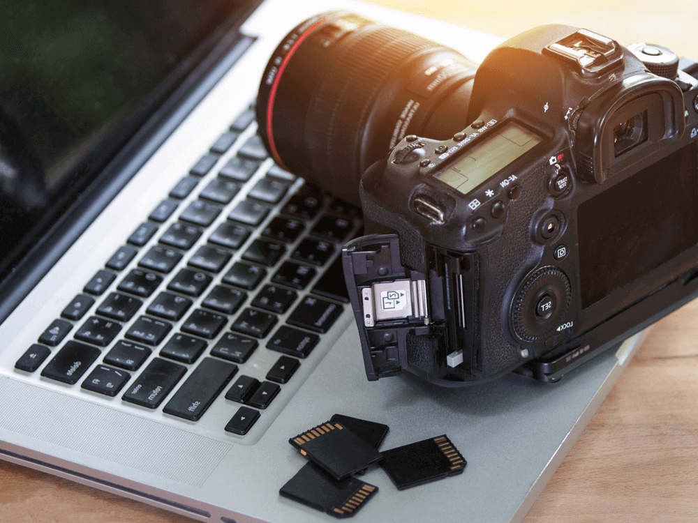 نصائح ذهبية للمبتدأين في مجال التصوير 3 نصائح ذهبية للمبتدأين في مجال التصوير 2