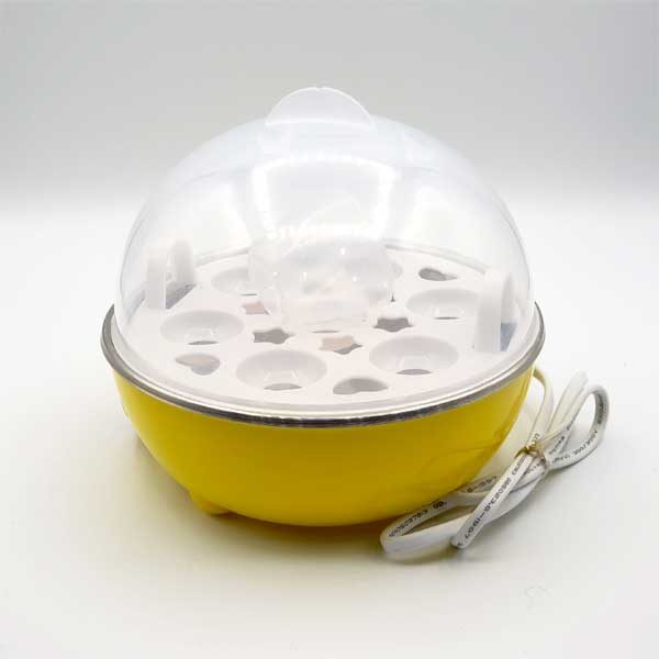 6 Egg Capacity Electric Egg Cooker for Hard Boiled Eggs 6